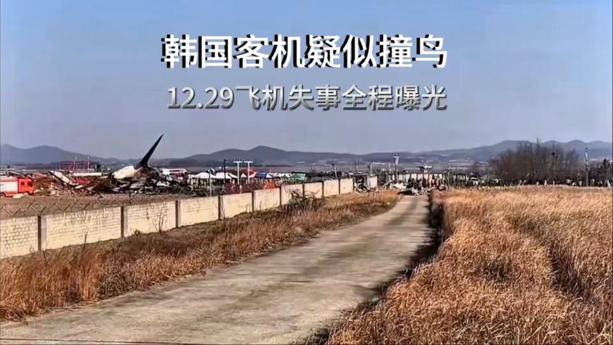 新澳今天最新消息和韓國發(fā)生飛機墜毀與韓國發(fā)生飛機墜毀事件