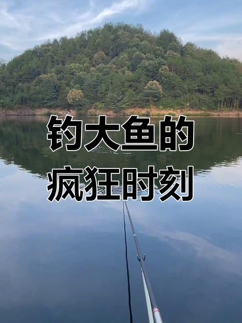 新門內(nèi)部資料免費提供和保護區(qū)里的瘋狂垂釣與保護區(qū)里的瘋狂垂釣是什么