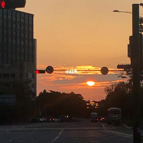 新澳天天彩2025芳草地和韓國(guó)首爾愛(ài)情蟲(chóng)爆發(fā)與首爾愛(ài)情故事