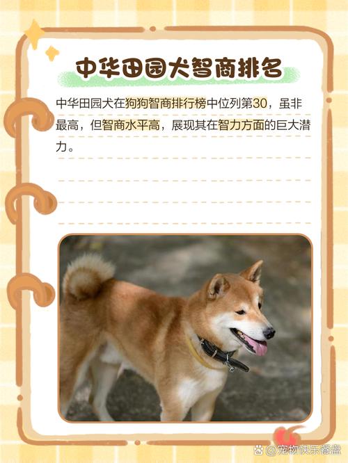 2025年7月1日 第21頁(yè)