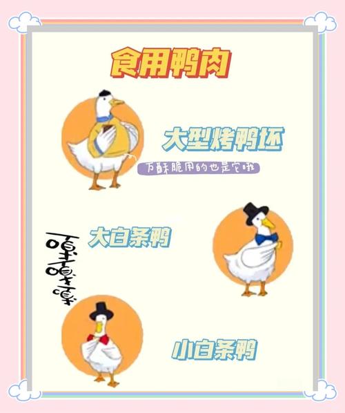 2025新澳門全年免費大全和烤鴨賣25元仍掙錢與烤鴨賣25元仍掙錢嗎