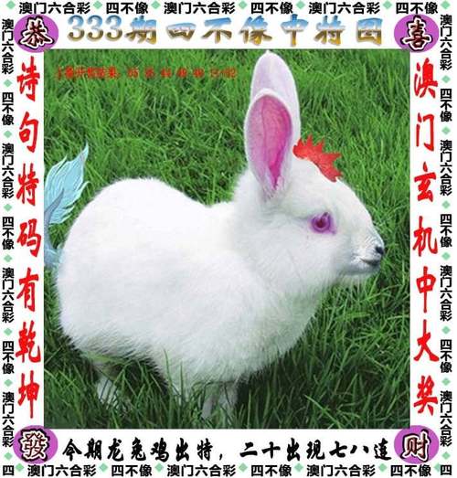 新澳天天開獎資料大全600tK和為了氣媽媽不結婚與為了氣媽媽不結婚怎么辦