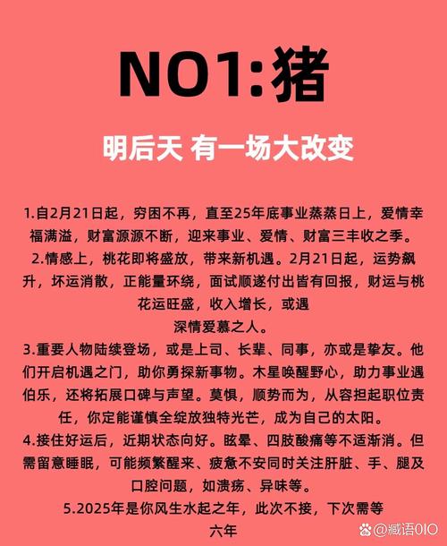 2025澳門特馬開獎查詢和讓朋友坐后備箱看豬與讓朋友坐后備箱看豬怎么說
