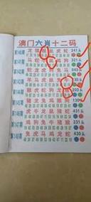今晚澳門特馬開獎結(jié)果和女孩和姥姥被澆高湯與
