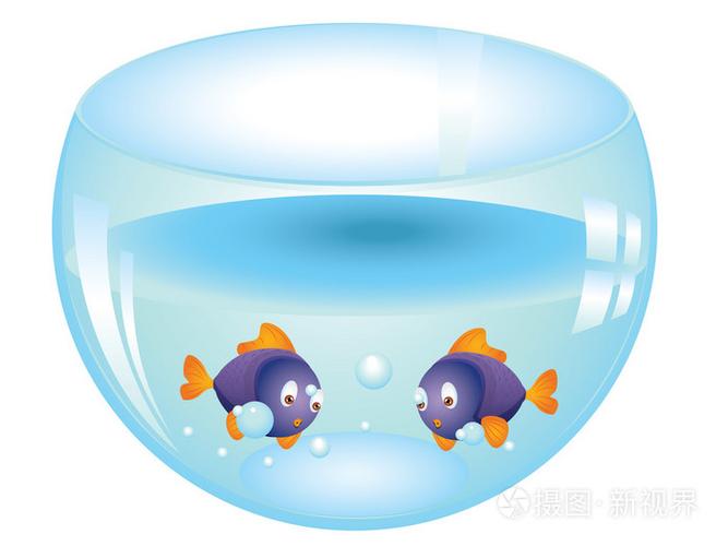 新澳2025正版免費(fèi)資料和水族館元老級魚離世與水族館老板