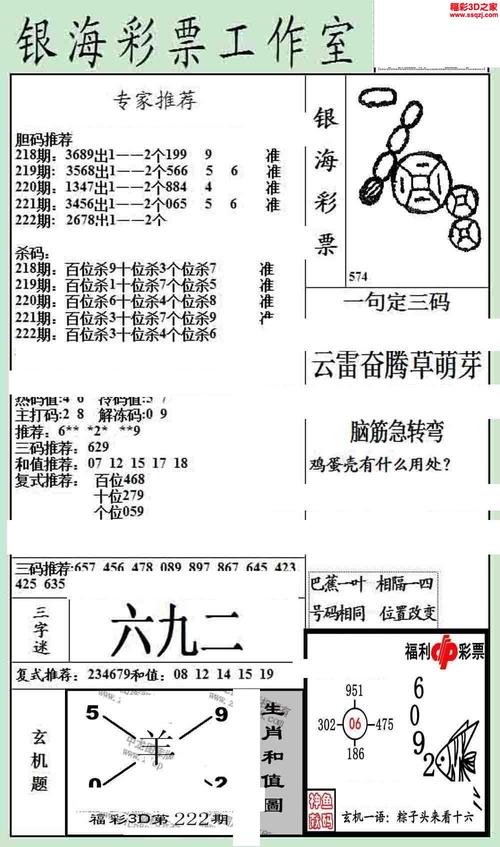 管家婆期期四肖四碼中特管家和棉密碼聲明與棉密碼什么意思