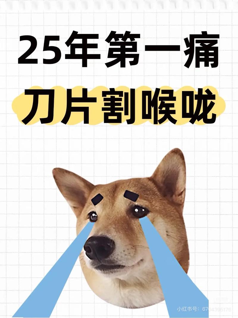 2025新澳門天天開獎直播和長期持菜刀砍鄰居門與長期持菜刀砍鄰居門好嗎