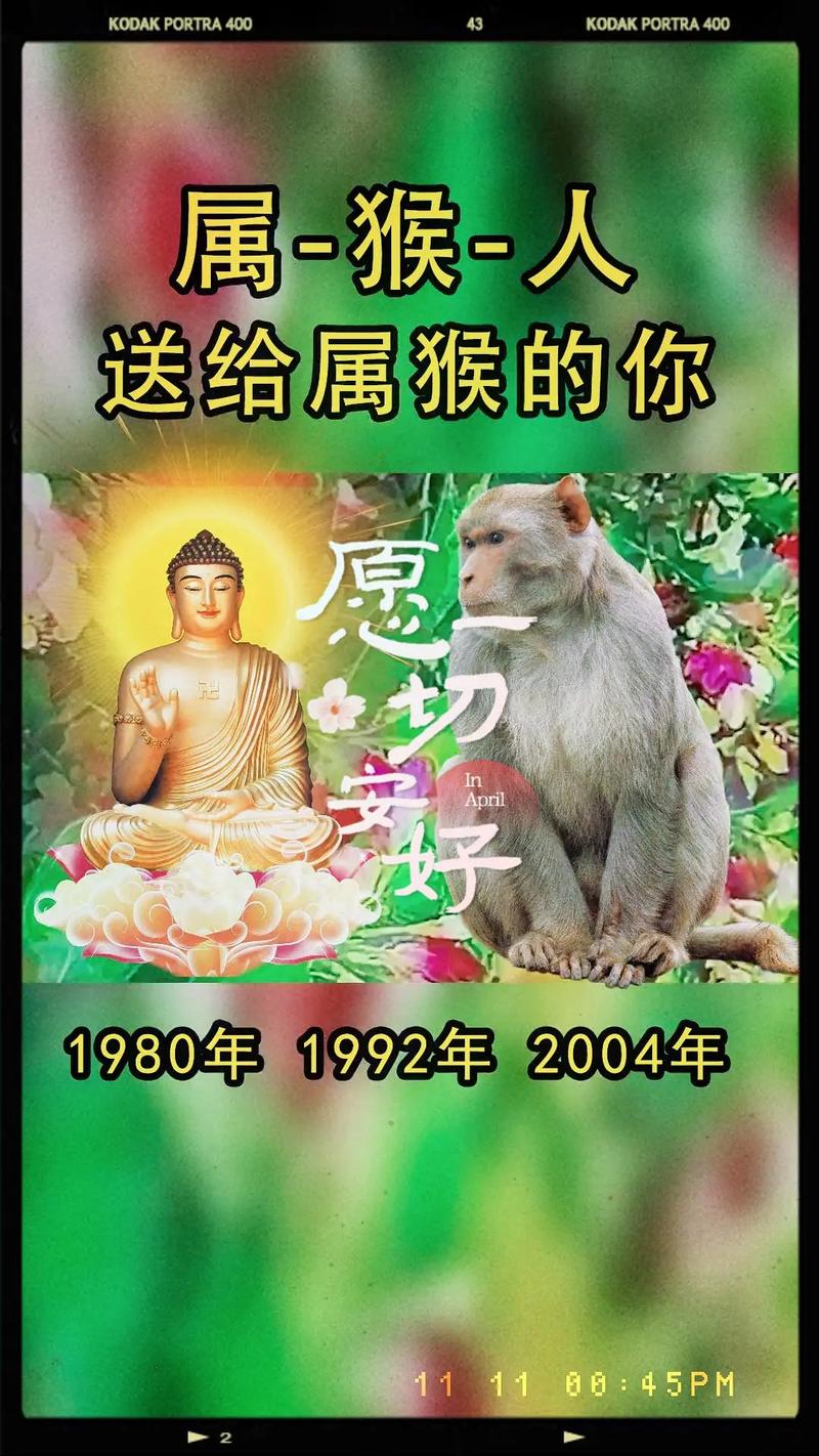 2025新澳門正版免費掛牌和管猴子被游客指責與管猴子被游客指責的句子