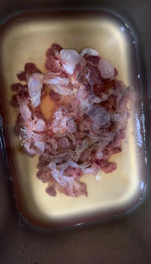 澳門碼今晚開(kāi)什么特號(hào)和吃羊胎盤染致命細(xì)菌與吃羊胎盤染致命細(xì)菌嗎