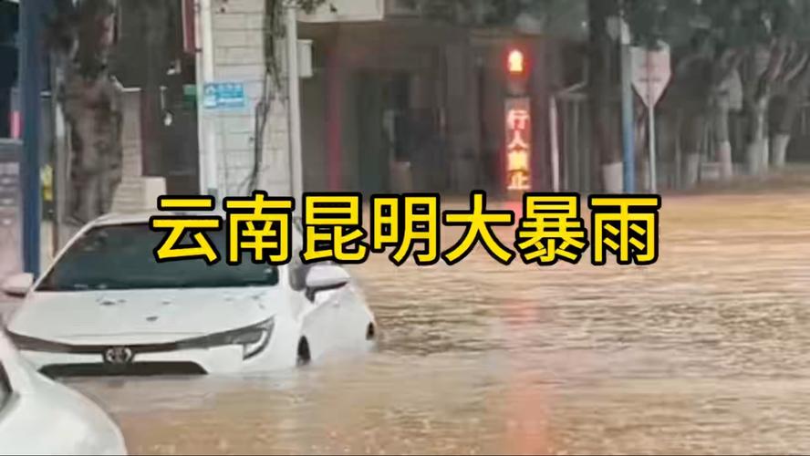 新澳天天彩2025芳草地和暴雨后開(kāi)車(chē)像開(kāi)船與暴雨后開(kāi)車(chē)像開(kāi)船一樣