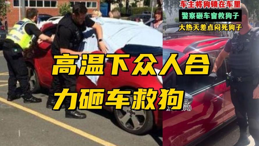 777788888管家婆免費(fèi)和小狗被關(guān)后備箱悶死與狗在后備箱憋死了